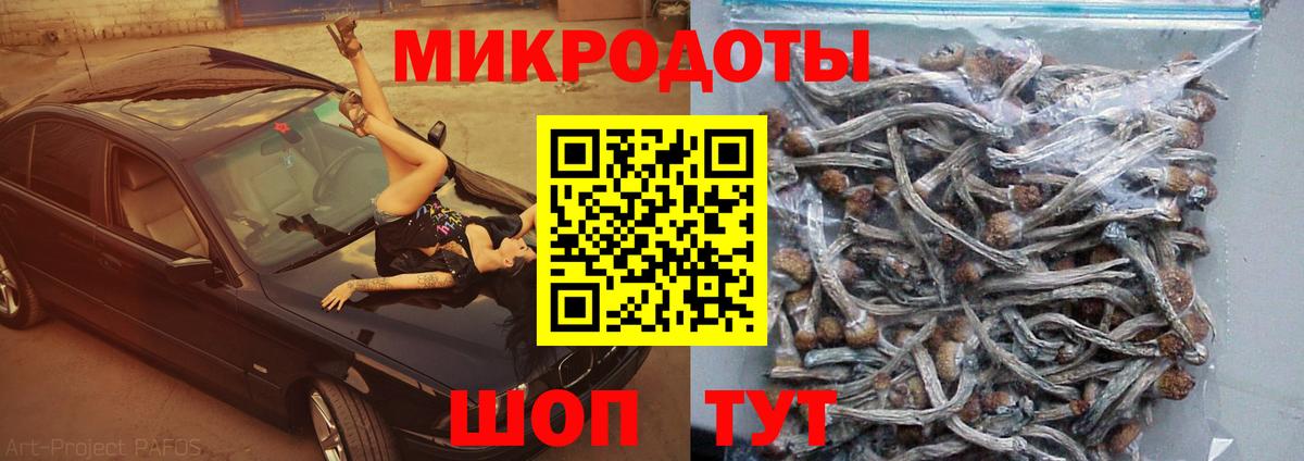 Галлюциногенные грибы MAGIC MUSHROOMS  Галлюциногенные грибы Psilocybe  Киров  Вход с VPN 