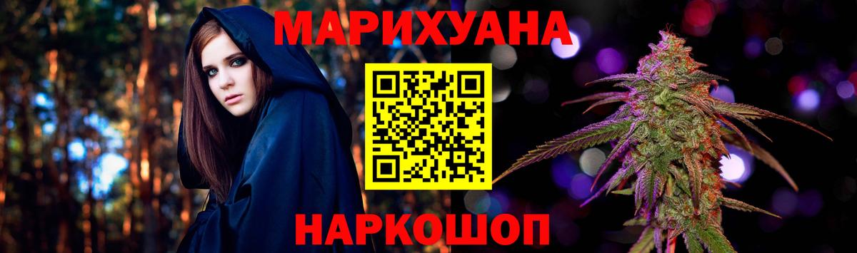 Конопля сатива Киров